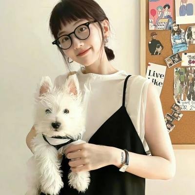 烟花女驼龙
